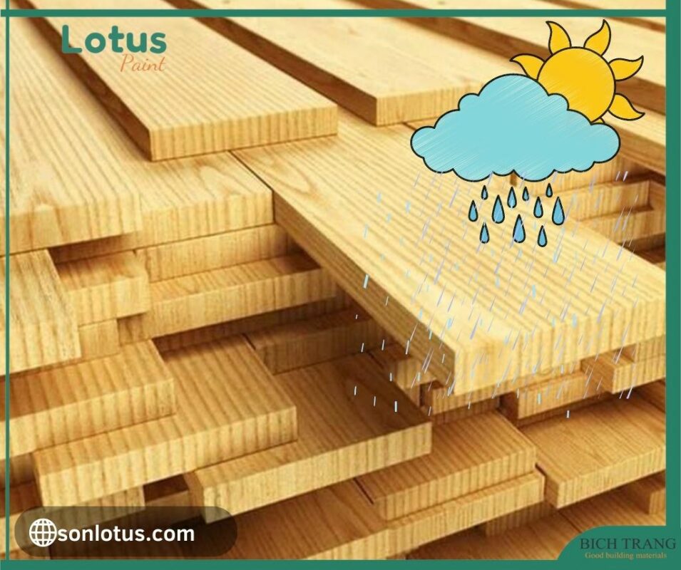 Hình ảnh miêu tả bề mặt gỗ chịu ảnh hưởng của thời tiết